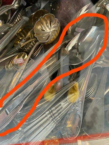 Internet Detectives: When People Outshine Google In Object Identification