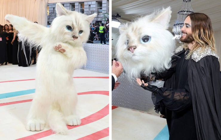 Outrageously Unique: Celebrities Making Bold Fashion Statements