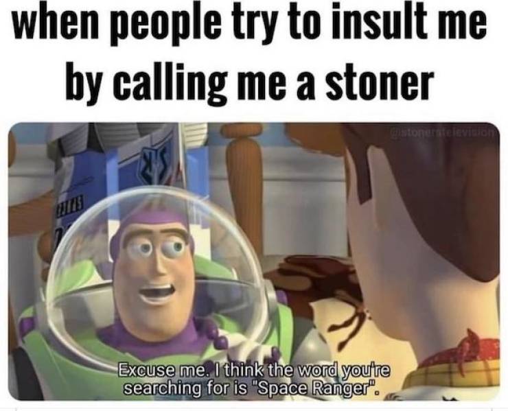 Memes That Perfectly Capture The Stoner Experience