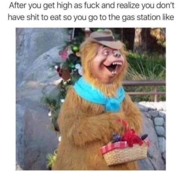 Memes That Perfectly Capture The Stoner Experience