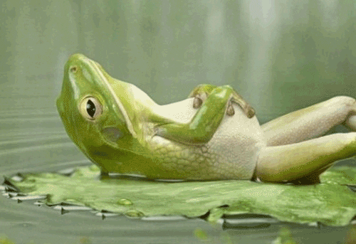 People Share The Best Things About Being High