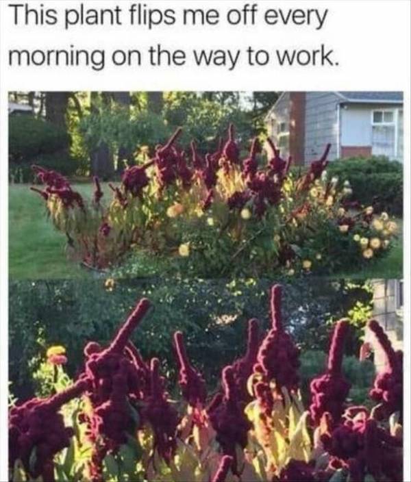 Dirty Mind, Come Here!