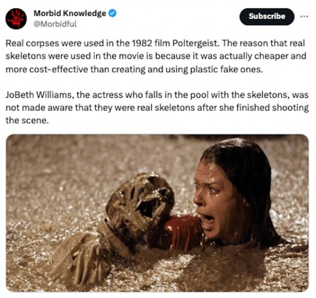 Unsettling Realities: Facts That Leave A Lasting Impression