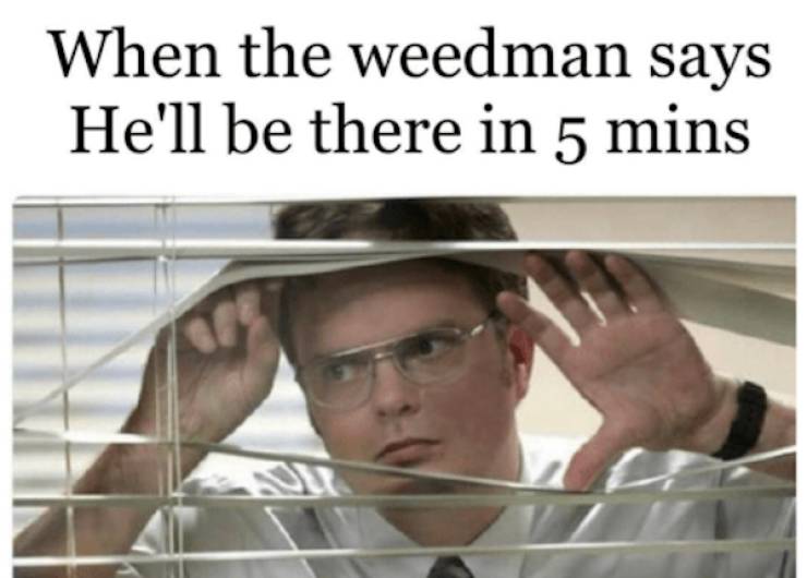 These Memes Are Already Stoned