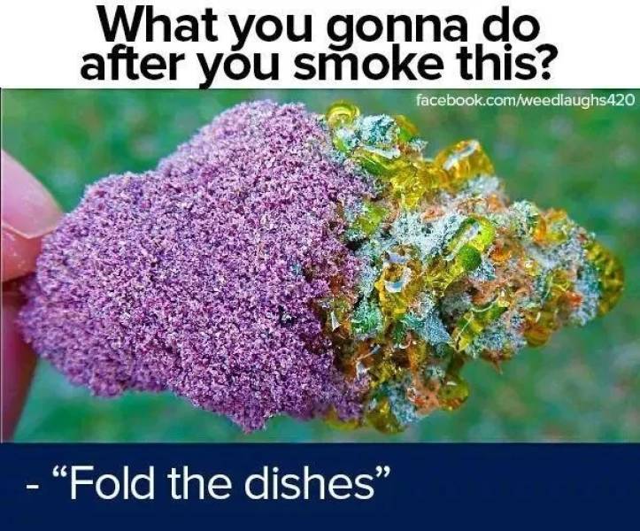 These Memes Are Already Stoned