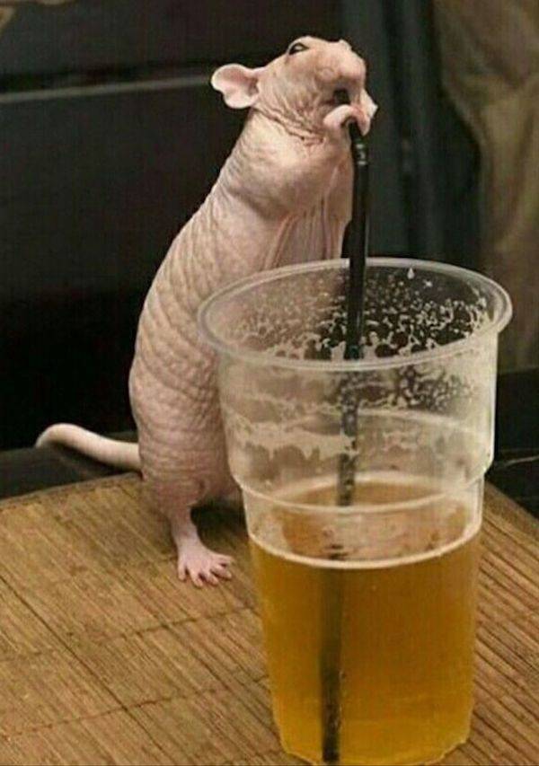Cheers To Everyone!