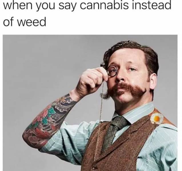 These Memes Are Already Stoned