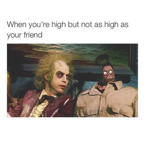 These Memes Are Already Stoned