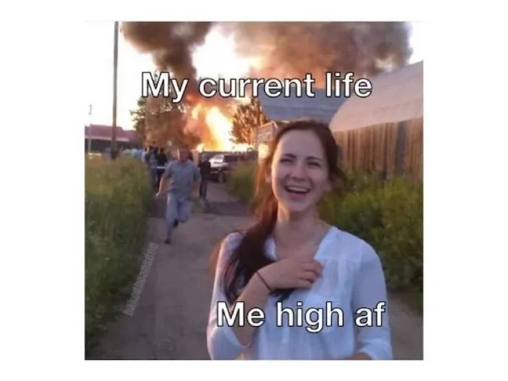 These Memes Are Already Stoned