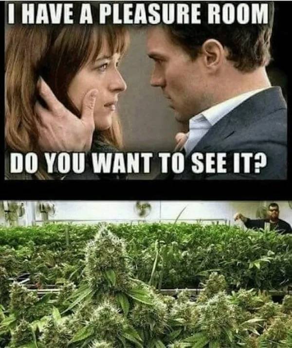 These Memes Are Already Stoned