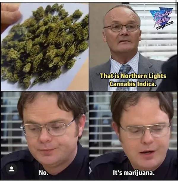 These Memes Are Already Stoned