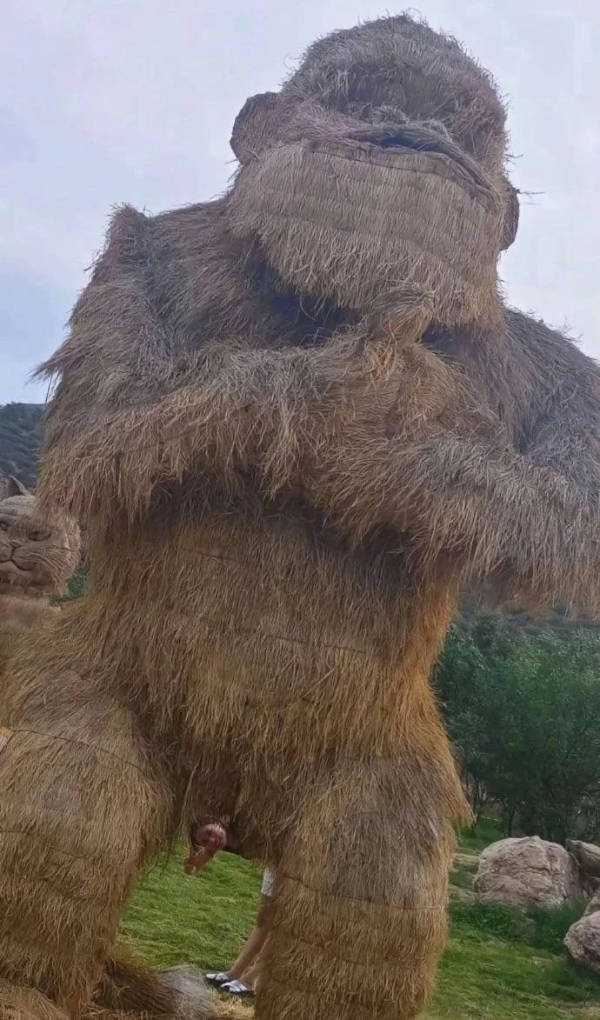 Just Hold Up!