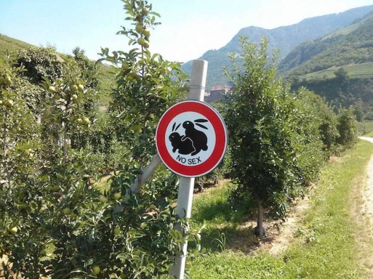 Dirty Dump For Dirty Minds