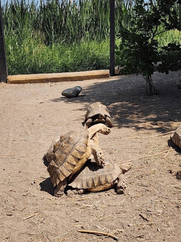 Dirty Minds Are Welcome!