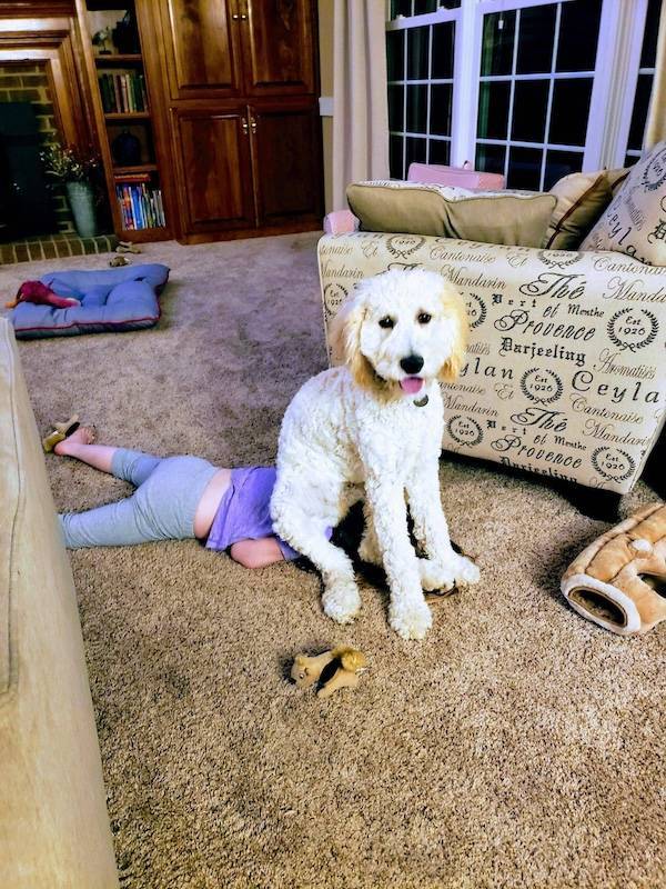 Dirty Dump For Dirty Minds