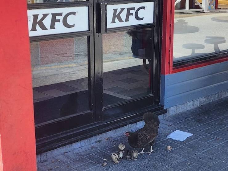 Dirty Minds Are Welecome!