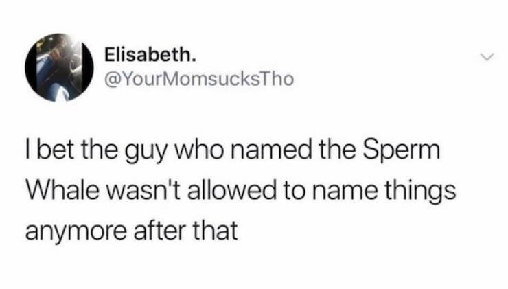 Dirty Minds Are Welecome!