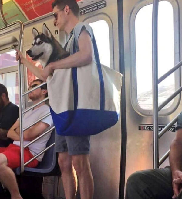 Public Transit Is a Different Universe