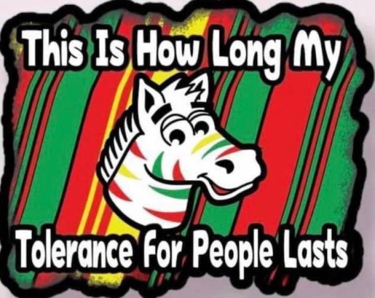 Absolutely No Thoughts, Just Memes