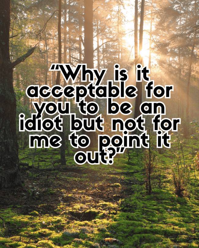 Smart Comebacks You’ll Wish You’d Said