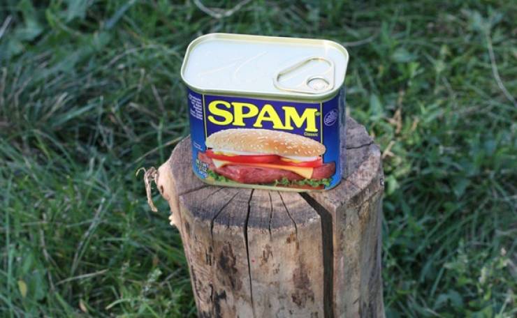 Random Facts Nobody Asked For