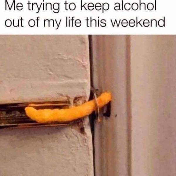 Wis-DUMB Memes at Maximum Capacity