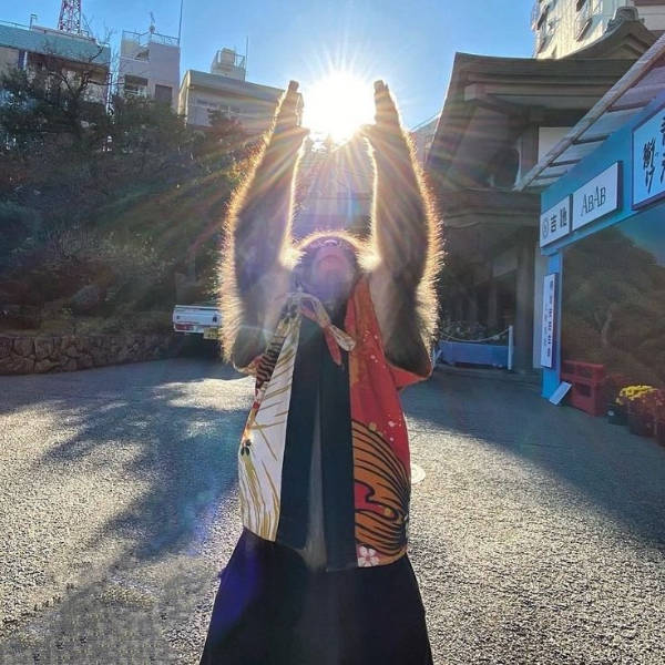 The Funniest Creatures on the Internet