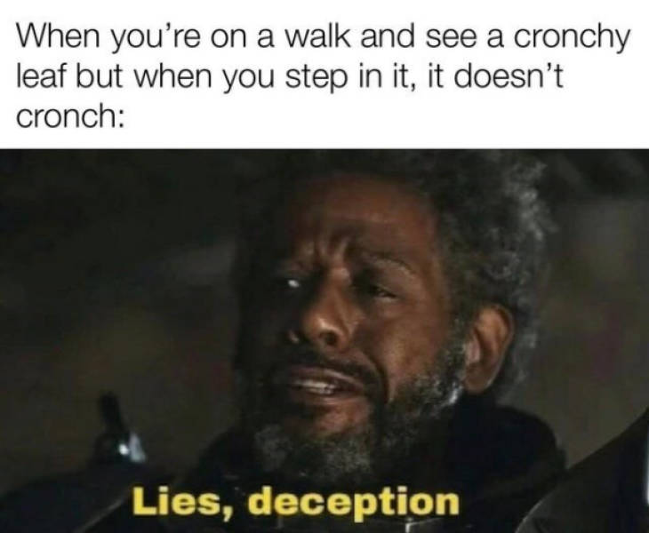 So Dank It Should Be Illegal