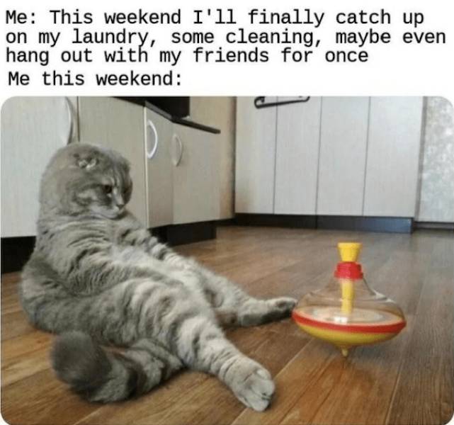 Grumpy Memes for Dads Who Are Always Done