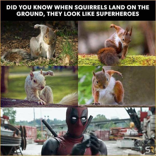 Grumpy Memes for Dads Who Are Always Done