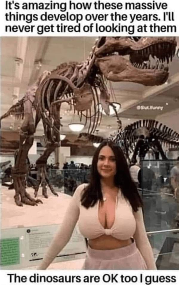 Grumpy Memes for Dads Who Are Always Done