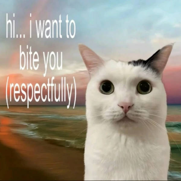 Flirty Memes to Send to Your Better Half