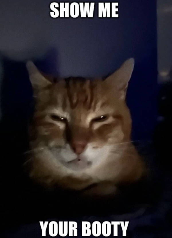 Flirty Memes to Send to Your Better Half