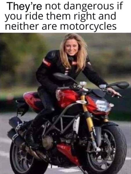 Memes That Hit the Target Every Time