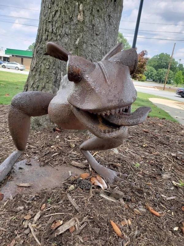 Weird Photos With Zero Context