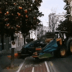 Daily Gifdump