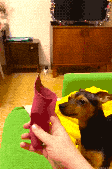 Daily Gifdump