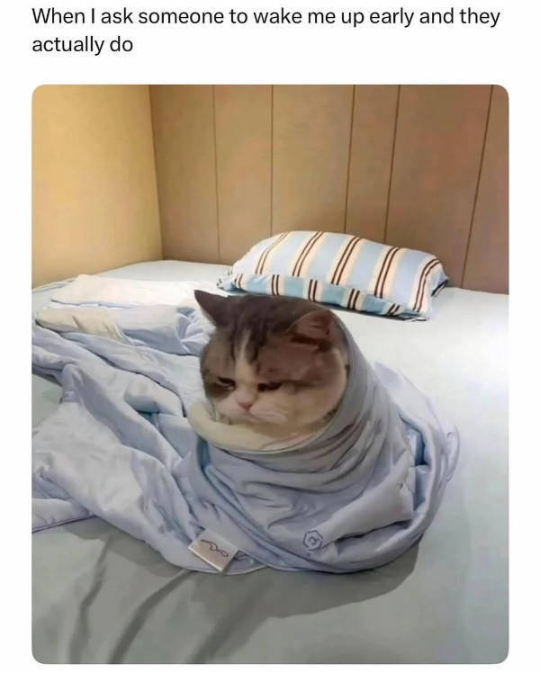 Dank Memes With Unlimited Energy