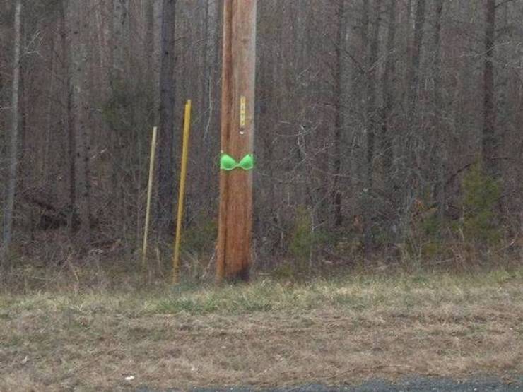 Dirty Minds Are Welcome!