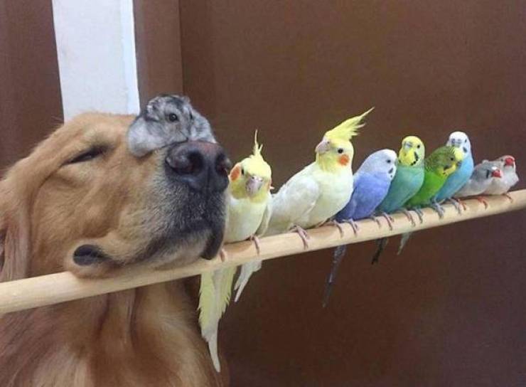 Daily Picdump