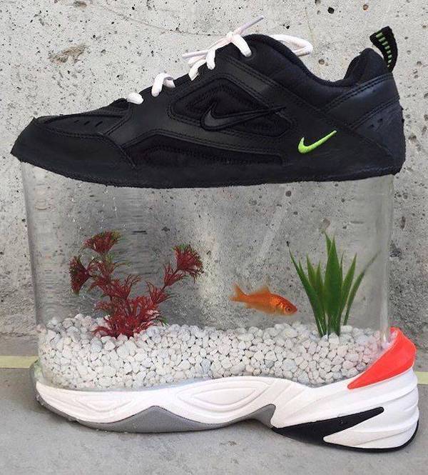 Daily Picdump