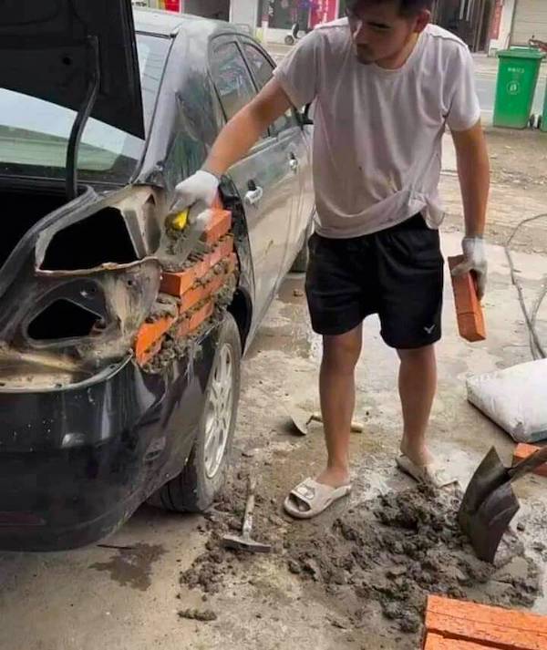Daily Picdump