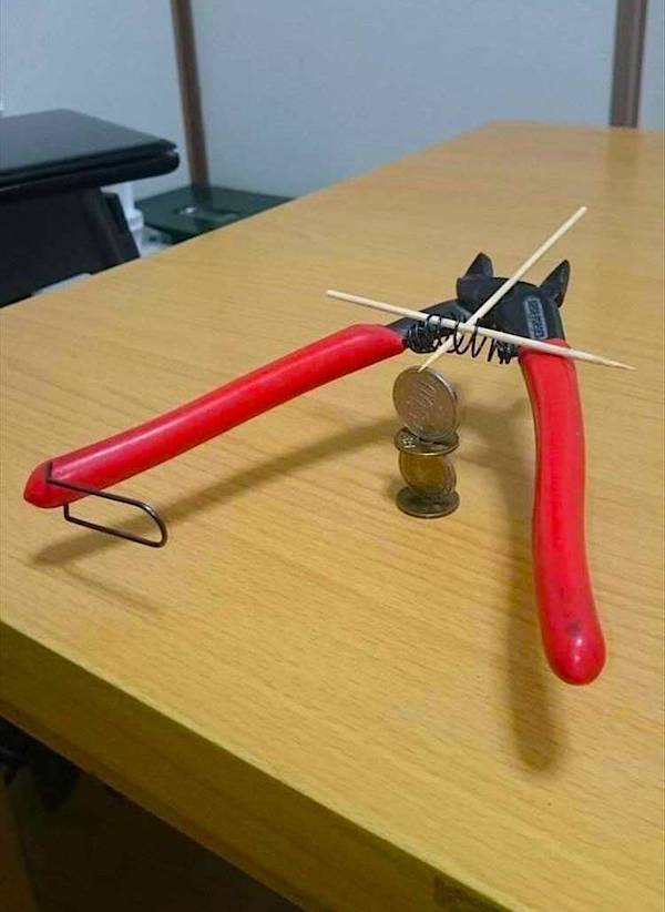 Daily Picdump