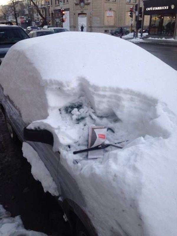 Daily Picdump