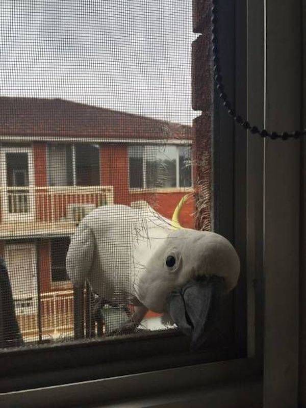 Daily Picdump