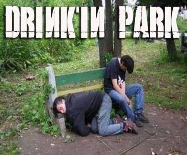 Daily Picdump