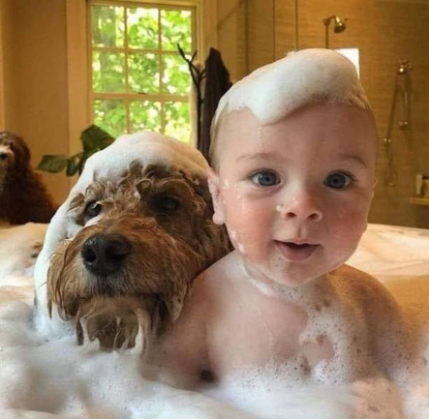 Daily Picdump