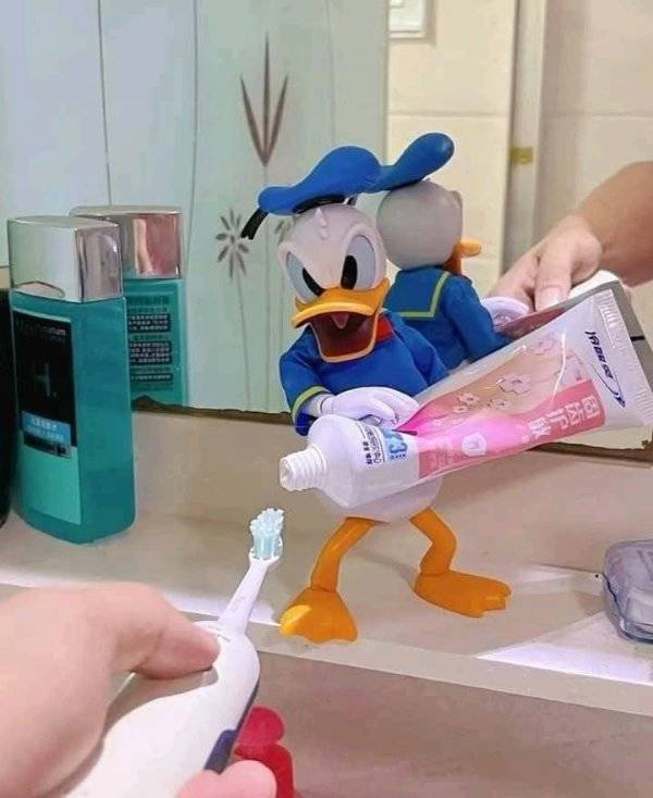 Daily Picdump