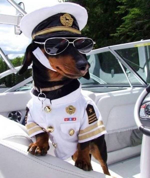 Daily Picdump