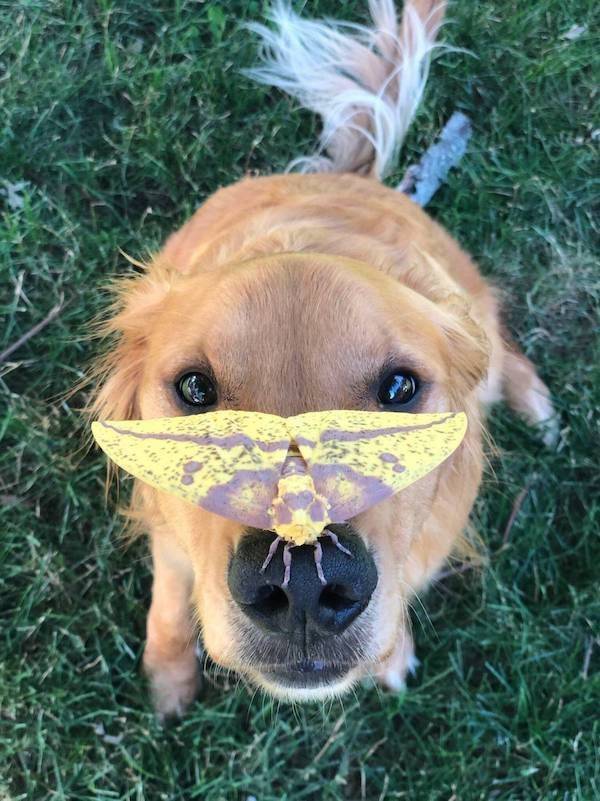 Daily Picdump